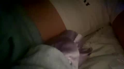 xxxsophiaday online show from 10/04/25, 08:56