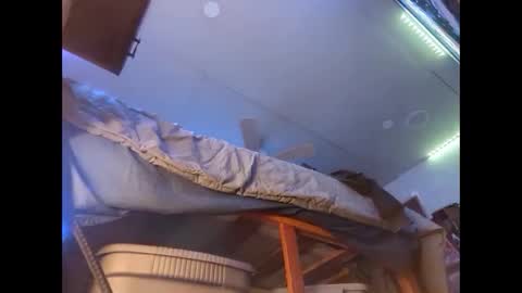 Xzbib online show from 12/12/24, 08:43