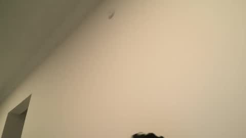 Dick  Ass online show from 02/15/25, 06:55