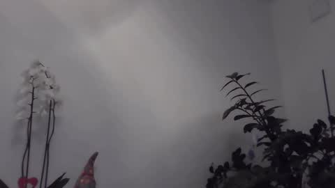 yakijoe online show from 03/22/26, 10:57