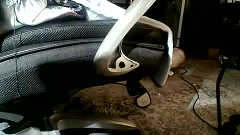 yamagrow online show from 04/19/26, 01:10