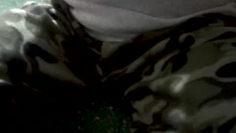 Yankee online show from 02/01/26, 05:28