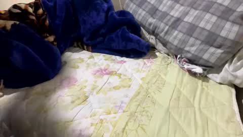 yasarsimo99154258 online show from 02/23/26, 12:09