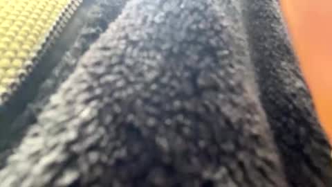 yasarsimo99154258 online show from 04/07/26, 10:59