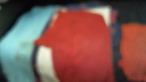 .     y e l l o w s n a k e s       . online show from 11/13/25, 12:42