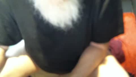 .     y e l l o w s n a k e s       . online show from 12/05/25, 06:04