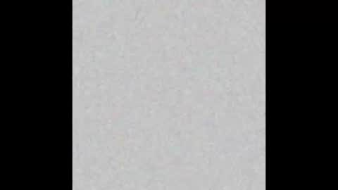 .     y e l l o w s n a k e s       . online show from 01/17/26, 11:41