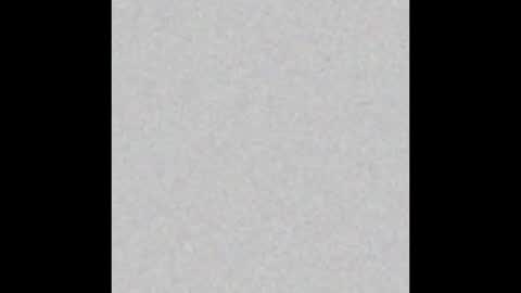 .     y e l l o w s n a k e s       . online show from 02/02/26, 04:27