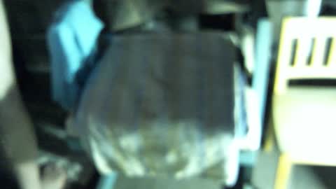 .     y e l l o w s n a k e s       . online show from 02/19/26, 05:14