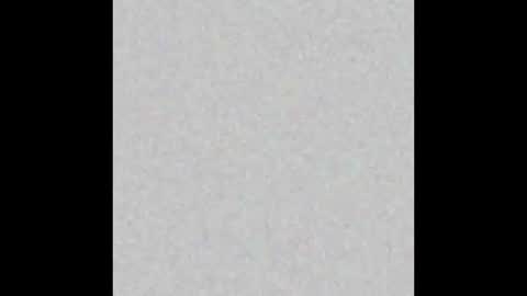 .     y e l l o w s n a k e s       . online show from 03/04/26, 11:38