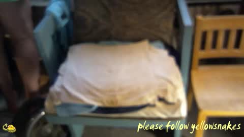 .     y e l l o w s n a k e s       . online show from 03/05/26, 03:08