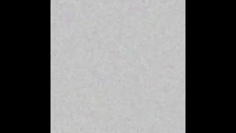 .     y e l l o w s n a k e s       . online show from 03/15/26, 10:49