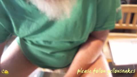 .     y e l l o w s n a k e s       . online show from 03/19/26, 12:03