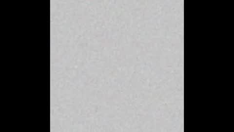 .     y e l l o w s n a k e s       . online show from 03/25/26, 01:00