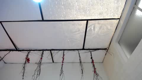 YEM online show from 03/16/26, 04:44