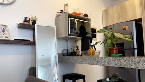 Snapshot of yes_mommy_zlata chatting on 02/02/25, 10:28 Zlata online show from 02/02/25, 10:28