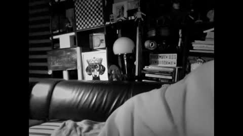 yessex247 online show from 02/19/26, 06:20