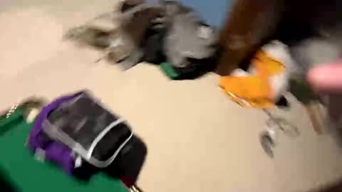 Yesspleasexxp online show from 11/17/25, 05:57