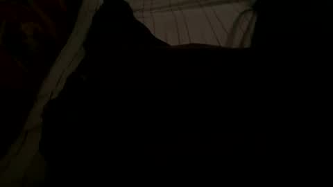 Snapshot of ynno31 chatting on 11/18/25, 05:23 Giannis online show from 11/18/25, 05:23