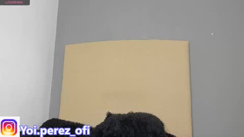 Snapshot of yoi_olimpo chatting on 02/12/25, 12:22 Yoi Olimpo online show from 02/12/25, 12:22