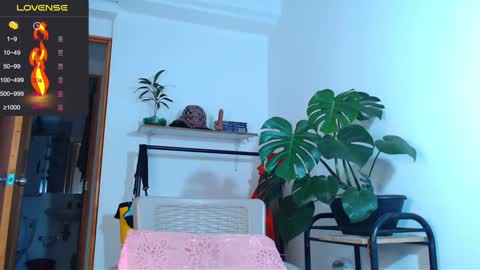 Enzo online show from 01/29/25, 03:54