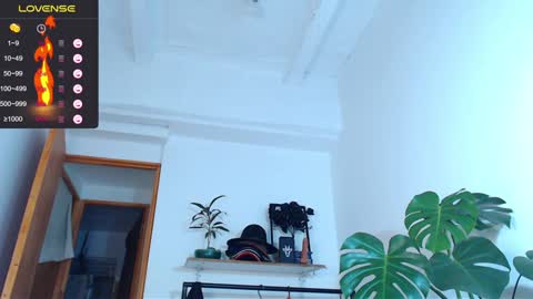 Enzo online show from 01/31/25, 06:35