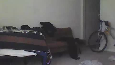 Snapshot of youneverknowimight2 chatting on 02/15/25, 09:37 kindahorny online show from 02/15/25, 09:37