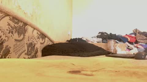 Emily online show from 06/29/26, 10:15