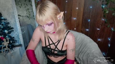 Snapshot of your_gothic_elf chatting on 12/26/24, 01:54 Stella online show from 12/26/24, 01:54