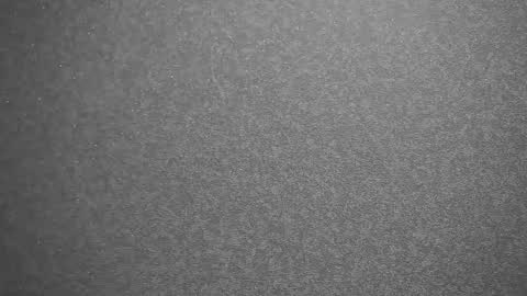 Meri  online show from 02/13/25, 09:38