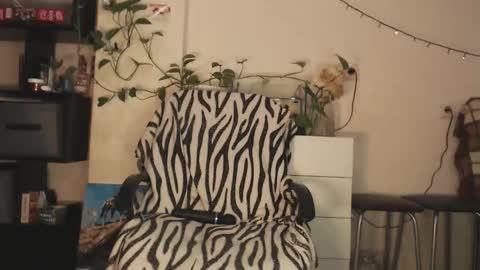 Viky online show from 12/17/25, 12:11