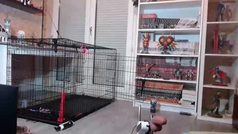 Owned by Hell On Heels online show from 02/19/26, 07:10