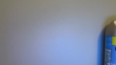 Snapshot of yournewfavourite chatting on 07/10/26, 05:56 newcastle72 online show from 07/10/26, 05:56