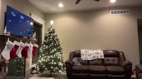 Snapshot of yourstrulylivy chatting on 12/11/24, 01:26 yourstrulylivy online show from 12/11/24, 01:26