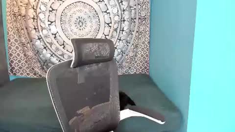 YourVenus00 -Follow my OF online show from 07/02/26, 11:38