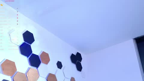 Snapshot of yulianpereira25 chatting on 03/01/25, 06:24 yulian 2811 online show from 03/01/25, 06:24