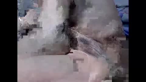 yummy72747 online show from 02/04/26, 10:32