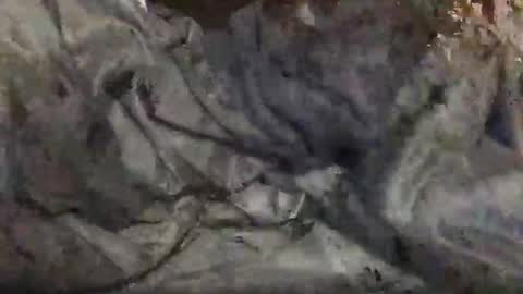 Snapshot of yungin470 chatting on 02/25/26, 08:46 yungin470 online show from 02/25/26, 08:46