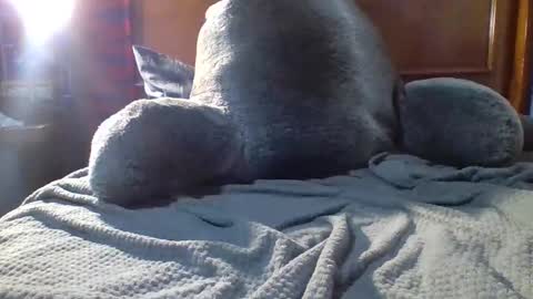 Snapshot of yungstallion10 chatting on 12/19/25, 10:28 Fire 0range kush online show from 12/19/25, 10:28