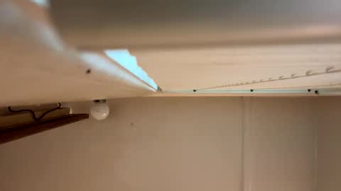 yungstudbev online show from 03/01/26, 12:40