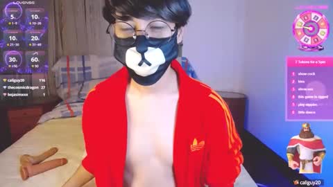 the puppy boy online show from 02/15/25, 04:25