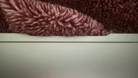 z95141 online show from 10/22/25, 03:56