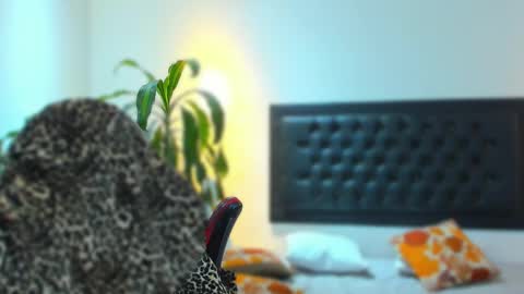 zachpri20 online show from 09/24/25, 09:23