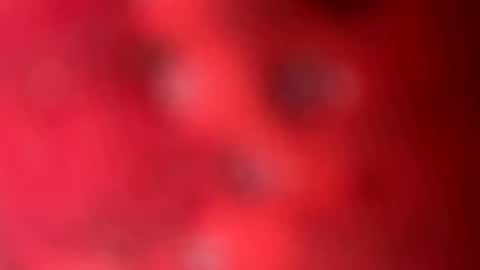 zachslime472 online show from 03/13/26, 02:45