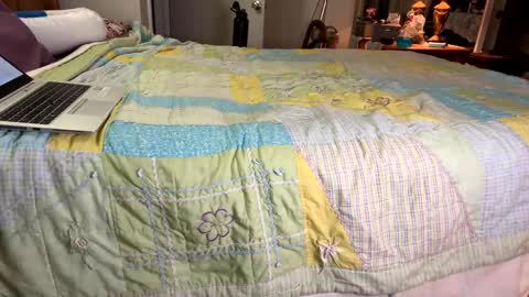 Snapshot of zaddykendoll chatting on 01/06/25, 03:20 Aiden online show from 01/06/25, 03:20