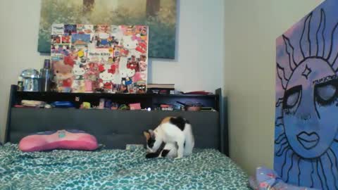 Snapshot of zaddyslilslutbucket chatting on 09/13/25, 10:20 zaddyslilslutbucket online show from 09/13/25, 10:20