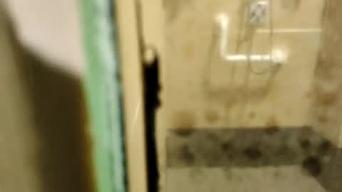 ZUL online show from 02/09/26, 01:53