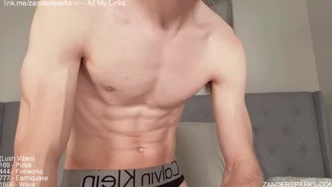 Snapshot of zandersparks chatting on 11/15/25, 01:03 Zander Sparks online show from 11/15/25, 01:03