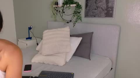 Z A R A  online show from 05/01/26, 08:13
