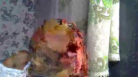 zarinamarlin online show from 03/18/26, 09:12